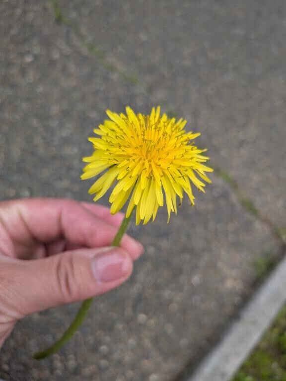 春だね