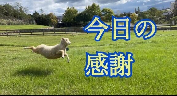 今日ありがとう