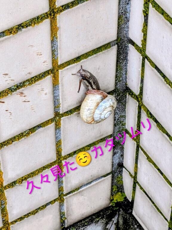 おサボり桐生さん