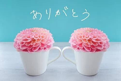 クチコミありがとうございます♡