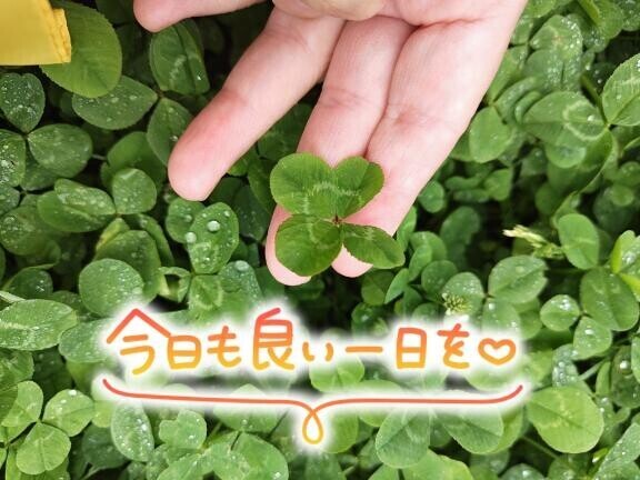 おはよー