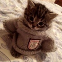 今日もひっそり…