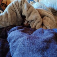 いる！そこに、いる！