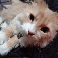 そわそわ、ドキドキ