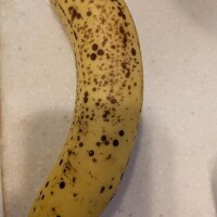 見れば分かるバナナ