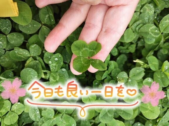 おはようございます