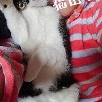 ゴロゴロタイム♡