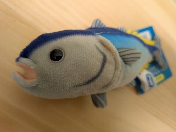 マグロくん