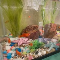 海音から、もう1つ提案だよ♪♪