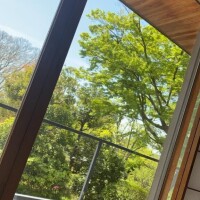 来週・再来週の予定ᝰ