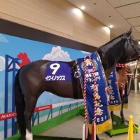 はーい＼(^o^)／