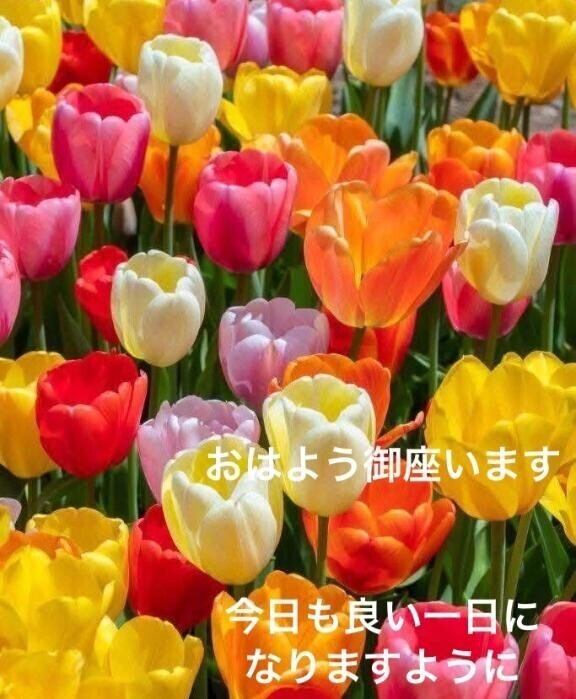 20時より出勤しますラスト迄