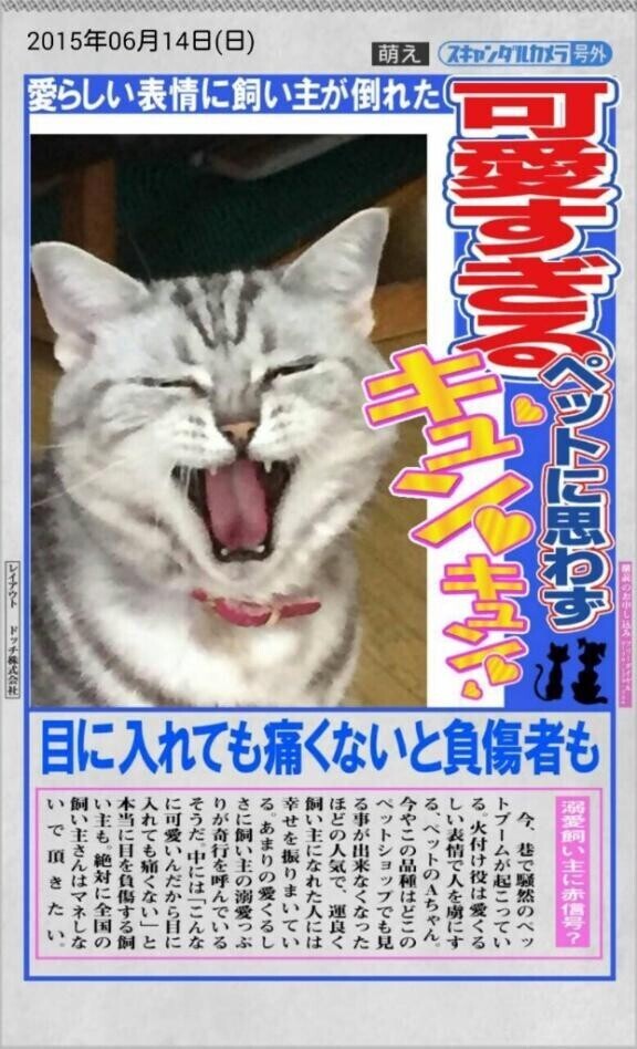 すみません