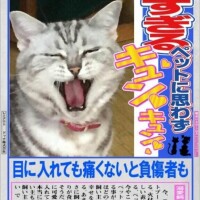 すみません