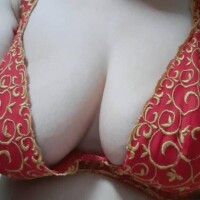 本日、最終日になりますよ