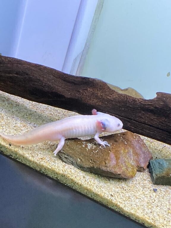 シフトの変更