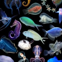 またまた…(泣)