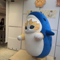 いつもアニメ見てるから