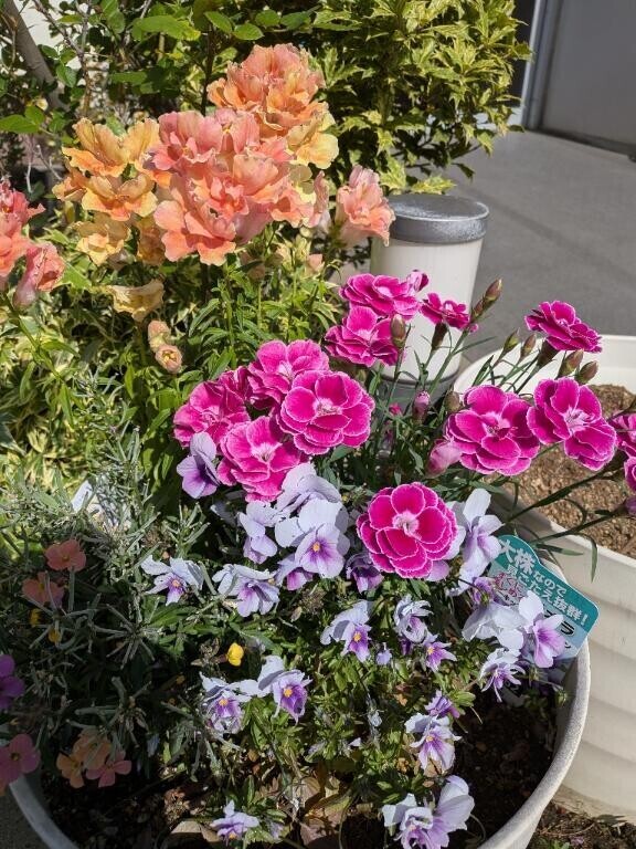 お花好き