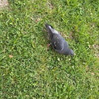 優しい(´ω｀*)時間♪♪