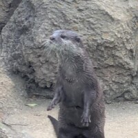 大丈夫だよ