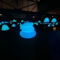 得だから来てね