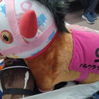 おはようございます