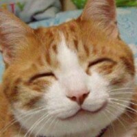 リクエストありがとうございます