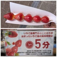 イチゴ飴大好き