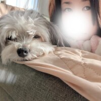 【口コミお礼】ありがとうございます