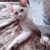 5/1限定最大5000円分お得なコラボ