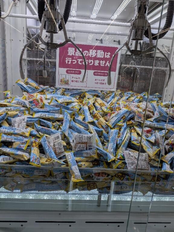 楽し過ぎる！！