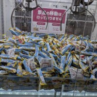 楽し過ぎる！！