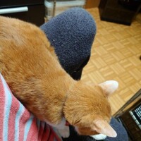 まったりタイム(つ´∀｀)つ