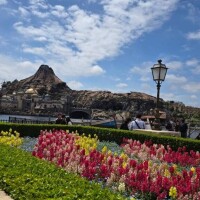 5月になりました