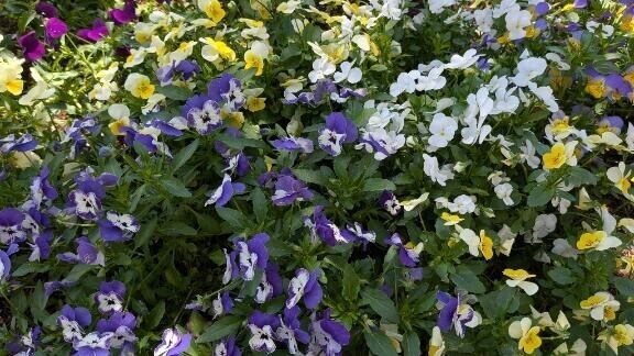 満喫してますか〜