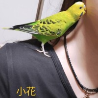うーん[お題]from:猫飼いたいさん