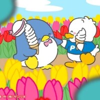 5月