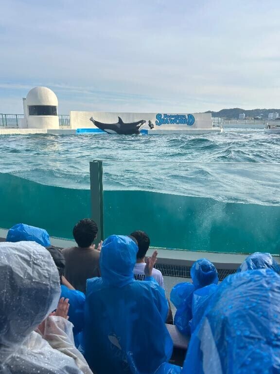今日は…