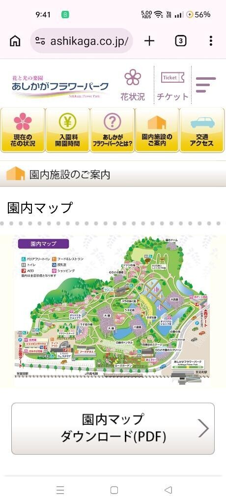 あしかがフラワーパーク🪻