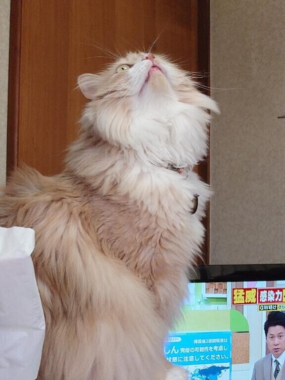 凄い見てる！
