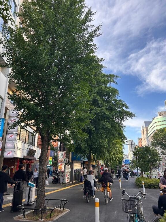 今日は