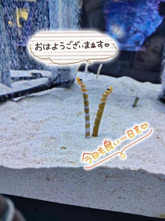 おはよー！