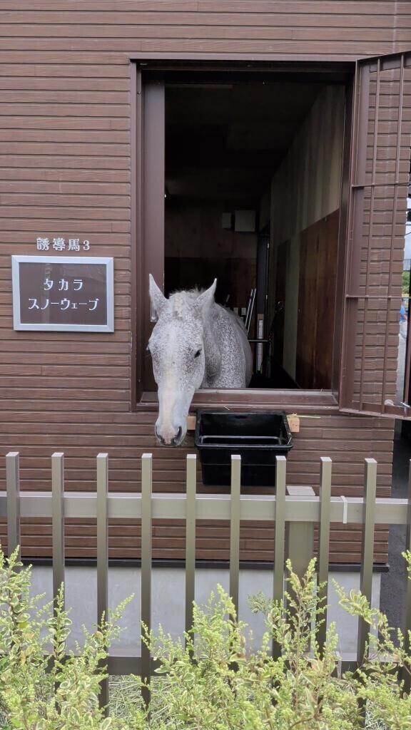 【お礼写メ日記】season2