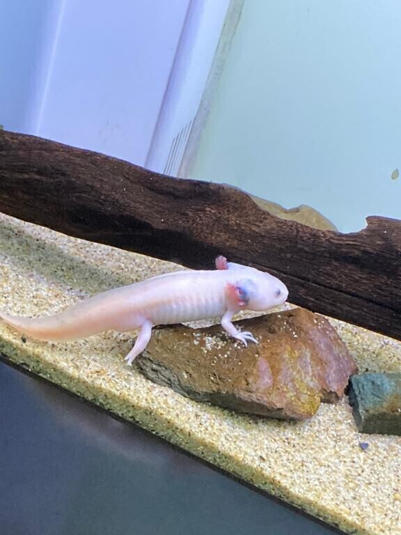 ポカポカ陽気