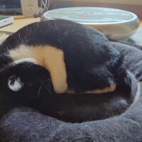 カワユス♡
