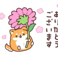 N様感謝