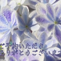 瑚々【ここ】