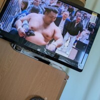 六連勝