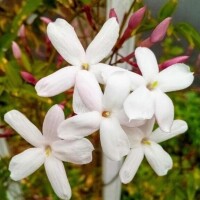 受付開始だよぉ(*^^*)